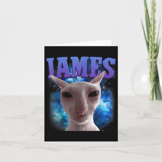 James The Cat Meme Funny Albern Cats Brainrot Meme Karte (Vorderseite)