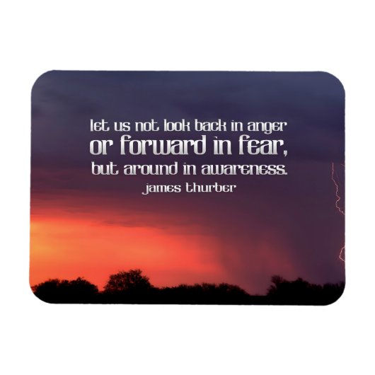 James Thurber Inspiration Zitat "Awareness" Flex Magnet (Horizontal)