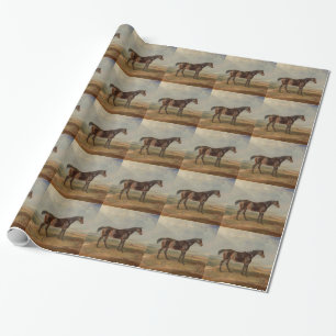 James Ward - Dr Syntax, eine Bucht-Racehorse Geschenkpapier
