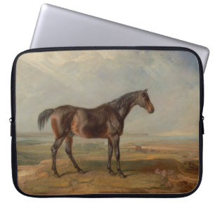 James Ward - Dr Syntax, eine Bucht-Racehorse Laptopschutzhülle