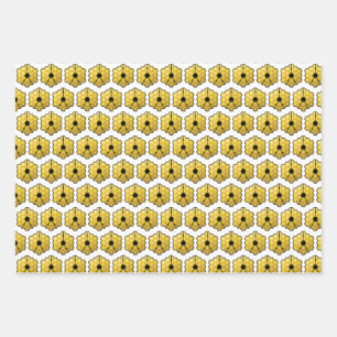 James Webb Space Telescope JWST Mirror Pattern Geschenkpapier Set