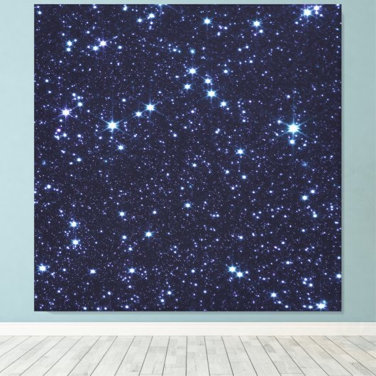 James Webb Space Telescope Large Magellanic Cloud Leinwanddruck (Insitu (Holzboden))