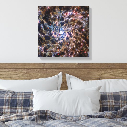 James Webb Space Telescope Spiral Galaxy IC 5332 Leinwanddruck (Insitu (Schlafzimmer))