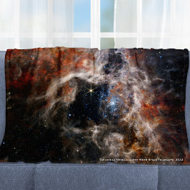 James Webb Tarantula Nebula Hi-Res Image 2022 Fleecedecke