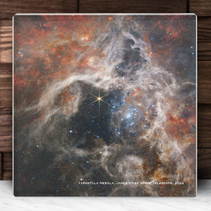 James Webb Tarantula Nebula Hi-Res Image 2022 Glasuntersetzer