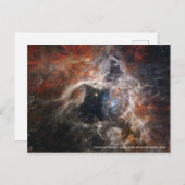James Webb Tarantula Nebula Hi-Res Image 2022 Postkarte (Vorne/Hinten)