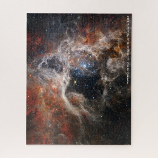 James Webb Tarantula Nebula Hi-Res Image 2022 Puzzle (Vertikal)