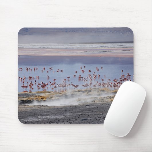 James's Flamingo, Phoenicoparrus jamesi Mousepad (Mit Mouse)