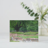 Jamestown Ruins Postkarte (Stehend Vorderseite)