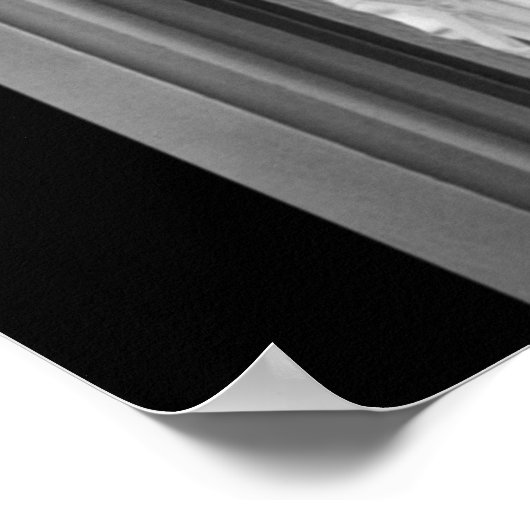 Jamie Lee Curtis Poster (Ecke)