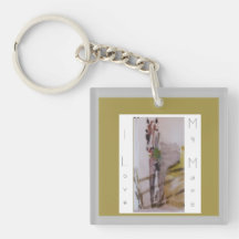 Jamie & Penelope der Esel, ich Liebe meine Stute