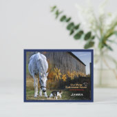 Jamra Postcard Postkarte (Stehend Vorderseite)