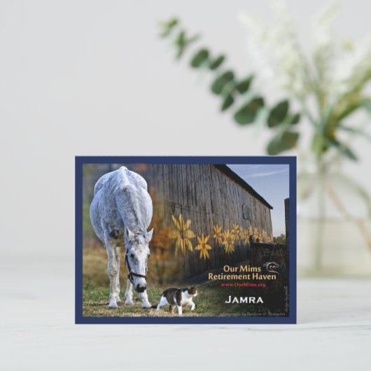 Jamra Postcard Postkarte (Stehend Vorderseite)