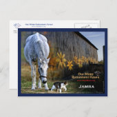 Jamra Postcard Postkarte (Vorne/Hinten)