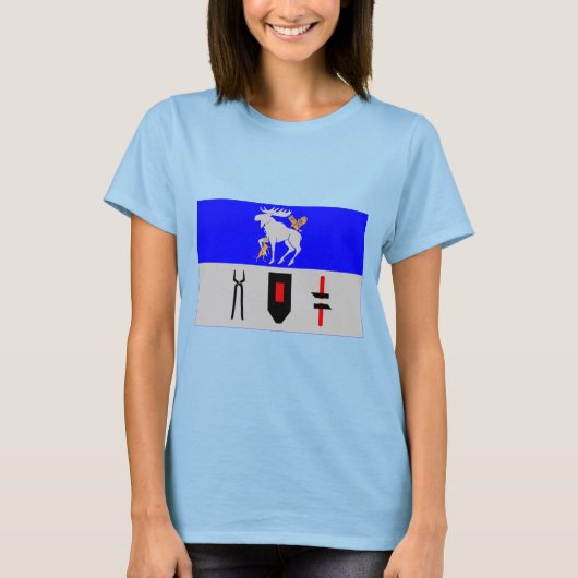 Jämtlands län flag T-Shirt (Vorderseite)