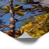 Jan07 2081, The Road to Hana - Maui, Hawaii Poster (Ecke)