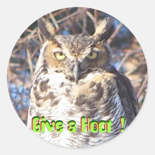 jan112009 009, Give a Hoot !, Give a Hoot !, ... Runder Aufkleber (Vorderseite)