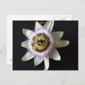 Jan 2 - Erziehungsbrainfart Postkarte (Vorne/Hinten)