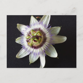 Jan 2 - Erziehungsbrainfart Postkarte