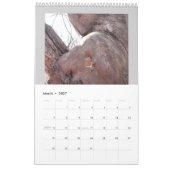 Jan Fitzgerald Fotografy Calendar von Janz Kalender (Mär 2027)