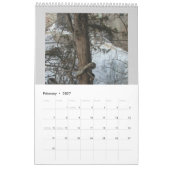 Jan Fitzgerald Fotografy Calendar von Janz Kalender (Feb 2027)