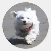 Jan Sticker (Vorderseite)