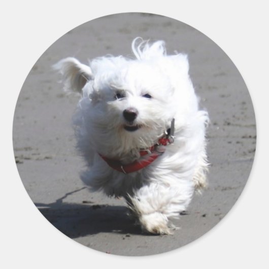 Jan Sticker (Vorderseite)