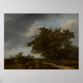 Jan Vermeer, Landschaft am Rande der Dünen Poster (Vorne)