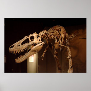 Jane - Ansicht #6 Poster