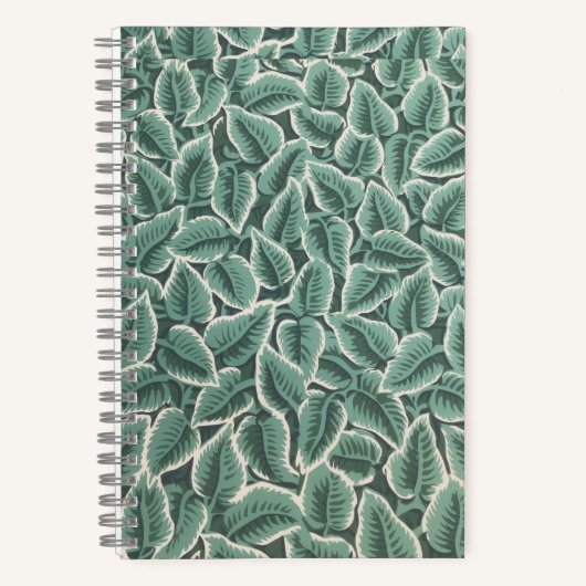 Jane Austen notebook Notizblock (Vorderseite)