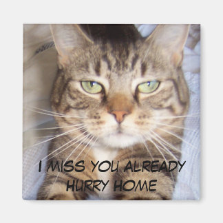 Jane sagt.. HURRY ZUHAUSE, ICH FEHLE DICH BEREITS. Magnet