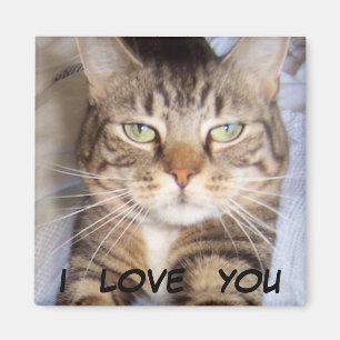 Jane sagt. .i LIEBE SIE Magnet