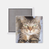 Jane sagt.. IHR PURRFECK Magnet (Vorderseite/Rückseite)