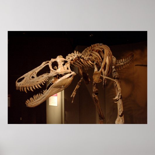 Jane - View #6 Poster (Vorne)