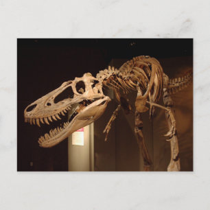 Jane - View #6 Postkarte