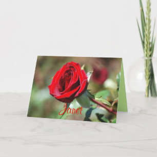 Janet Happy Birthday Rote Rose Card Karte