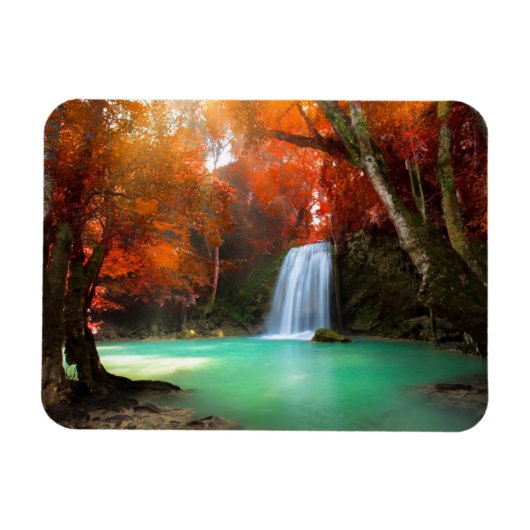 Jangle Landscape | Kanchanaburi, Thailand Magnet (Horizontal)
