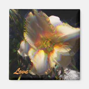 Janices Lilly, Liebe Magnet