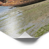 Janie Seddon Shipwreck, Motueka, Nelson Fotodruck (Ecke)