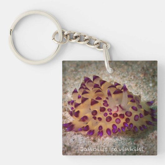 Janolus savinkini Quadrat-(doppelseitiger) Schlüsselanhänger (Vorderseite)