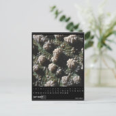 Januar 2010 Kalender Postkarte (Stehend Vorderseite)