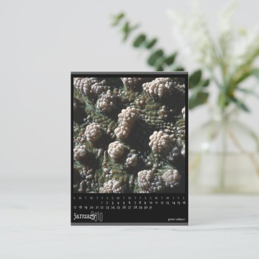 Januar 2010 Kalender Postkarte (Stehend Vorderseite)