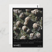Januar 2010 Kalender Postkarte (Vorne/Hinten)