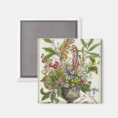 Januar, ab 12 Monaten der Blume Magnet (Vorderseite/Rückseite)