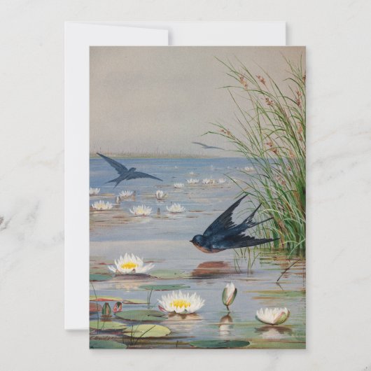 Januar | Fidelia Bridges (Vorderseite)