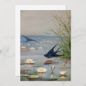 Januar | Fidelia Bridges (Vorne/Hinten)