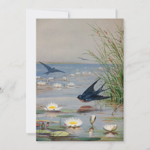 Januar   Fidelia Bridges