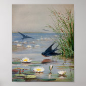 Januar | Fidelia Bridges Poster (Vorne)