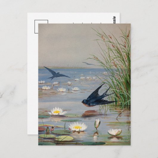 Januar | Fidelia Bridges Postkarte (Vorne/Hinten)