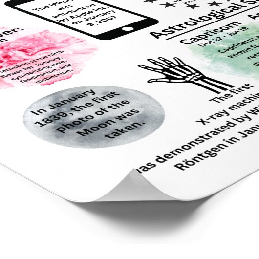 Januar Fun Facts Poster (Ecke)